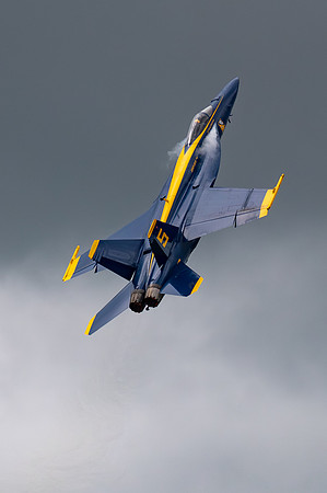 TZ6_2227