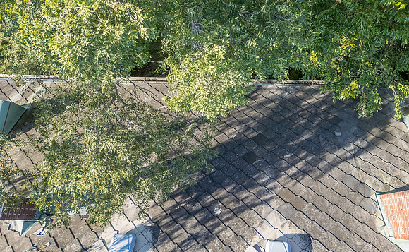 DJI_0016-DAI