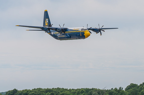TZ6_3963